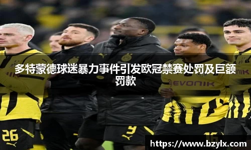 多特蒙德球迷暴力事件引发欧冠禁赛处罚及巨额罚款