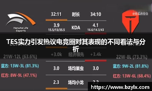 TES实力引发热议电竞圈对其表现的不同看法与分析