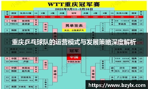 重庆乒乓球队的运营模式与发展策略深度解析